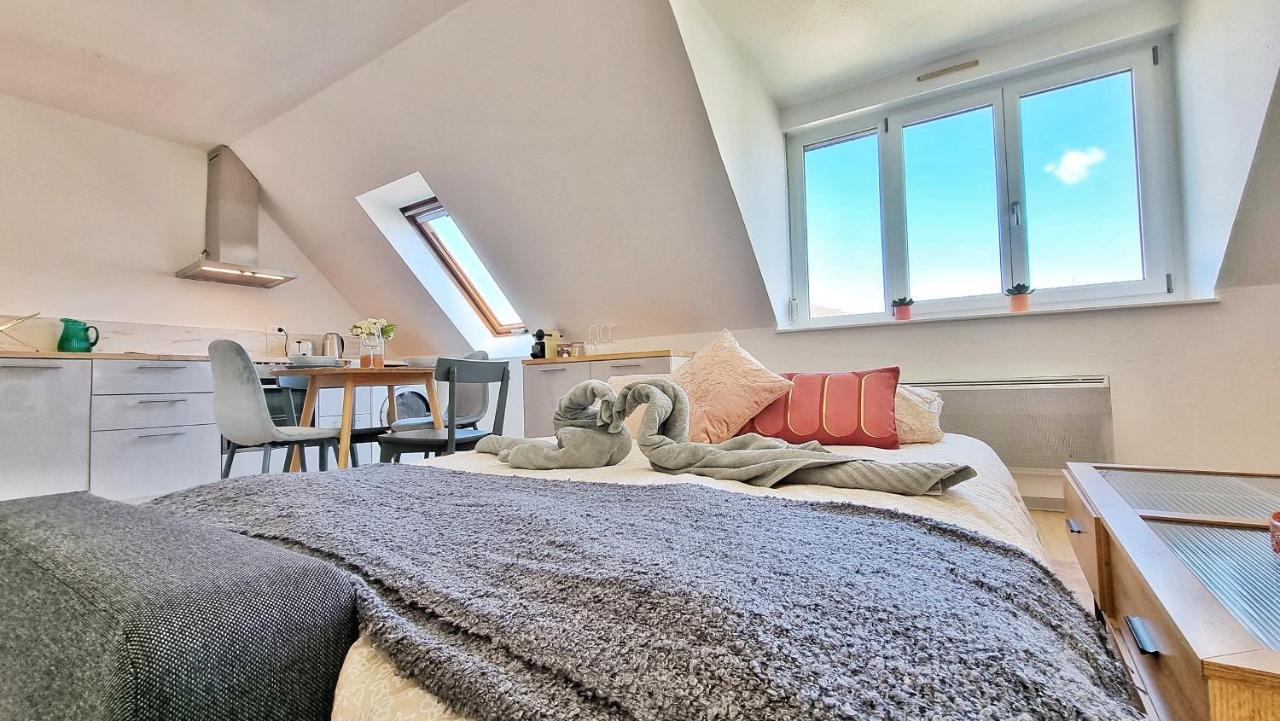 Colmar Mon Amour-Chic-Garage-Fibre-Rbnb Luaran gambar